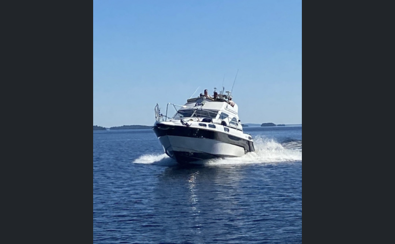 Sealine 310 Statesman-kuva-2